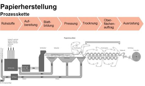 Eschenholz - Der Vielseitige Rohstoff für den Möbelbau und die Papierherstellung!